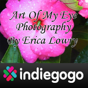 Art Of My Eye Photography IndieGoGo.com
