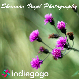 Shannon Vogel Photography IndieGoGo.com