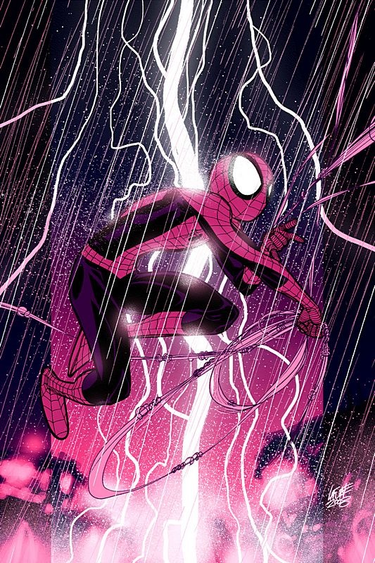 Spider-Man in Rain